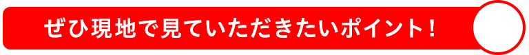 ぜひ現地で見ていただきたいポイント