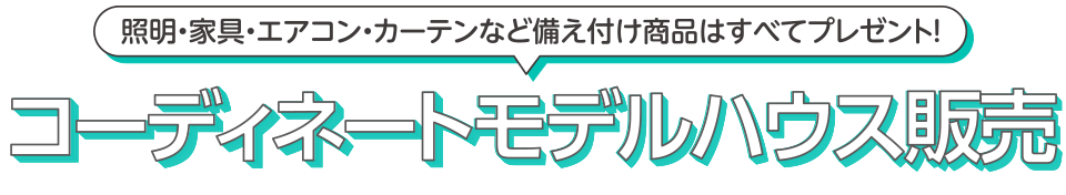 コーディネートモデルハウス販売