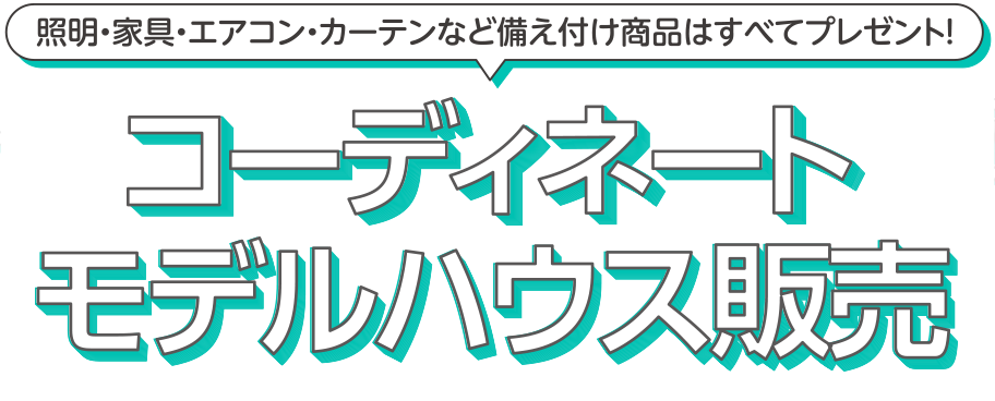 コーディネートモデルハウス販売